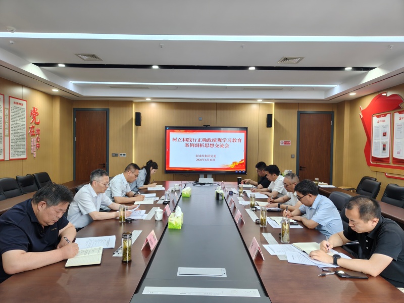 市城投集團召開樹立和踐行正確政績觀學習教
